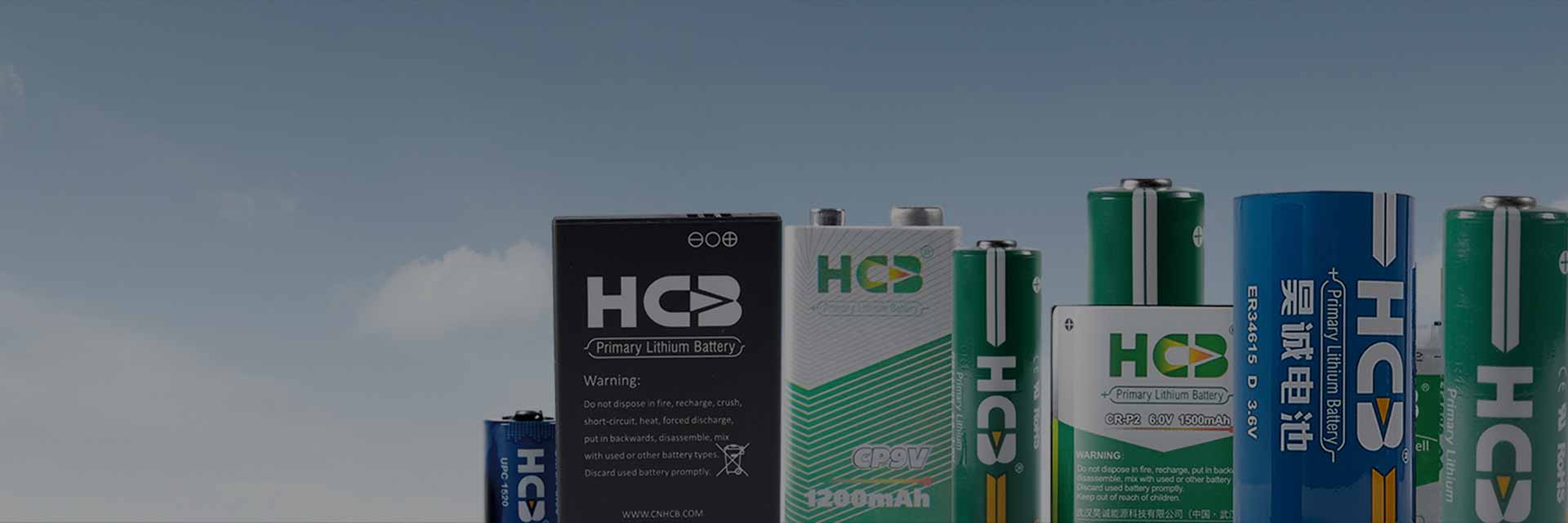 Li-MnO2 (Lithium Manganese Dioxide) Primary Battery