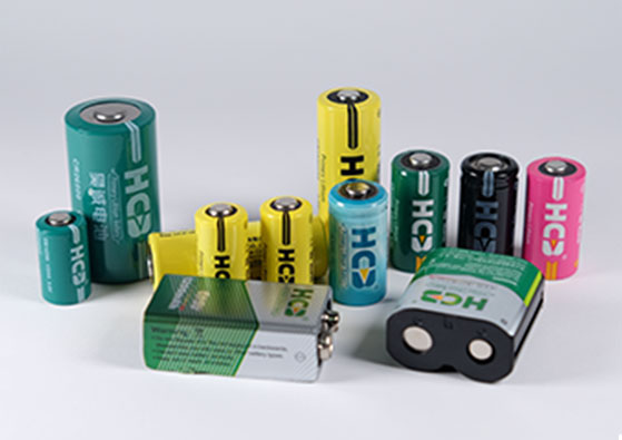 Li-MnO2 (Lithium Manganese Dioxide) Primary Battery