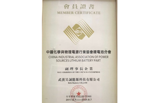 Membership Certificate of China Chemical and Physical Power Industry Association in 2017