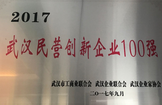 Wuhan Private Innovation Enterprise Top 100 in 2017