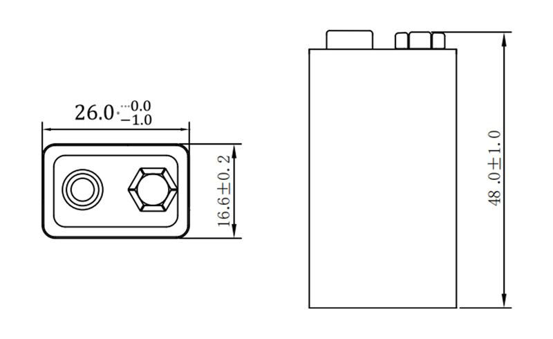 CP9V Lithium Pouch Cell