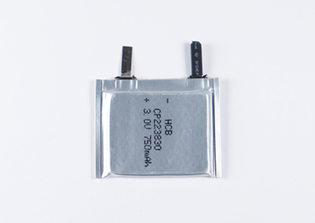 Lithium Pouch Cell