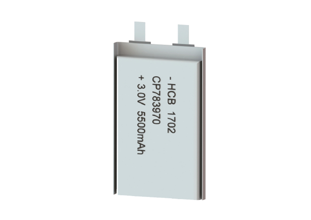 Pouch Style Battery